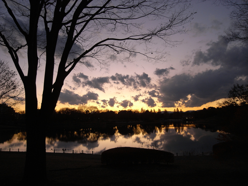 昭和記念公園の夕日4