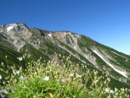 残雪残る五竜岳