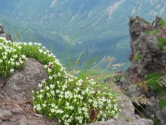 IMG_0749m