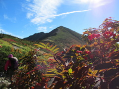 種池山荘から爺ヶ岳２