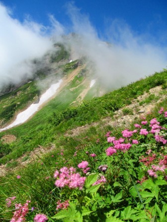 遠見尾根から五竜岳をみる2