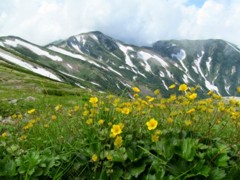 IMG_1485