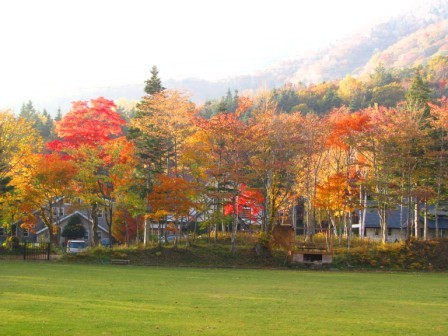 丸沼高原&紅葉4