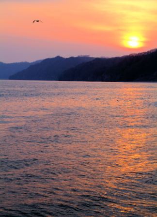 夕日２