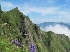 オキの耳とシンセン岩峰