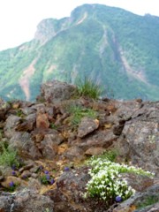 IMG_0640m