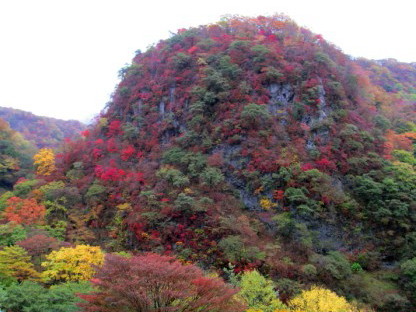 日光の紅葉