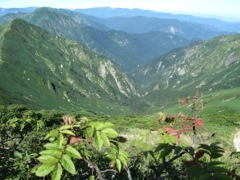 谷川岳から見る万太郎山