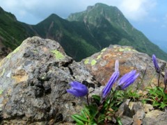 IMG_0563m