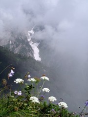 IMG_2334