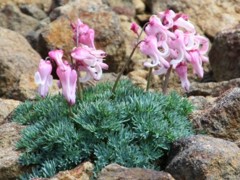 IMG_0607m