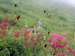 IMG_2359