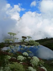 湧き上がる雲、そして八方池