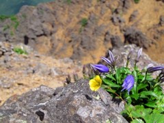 IMG_0599m