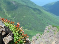 IMG_0573m