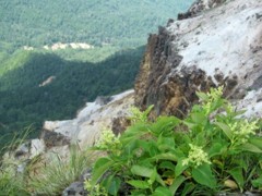 IMG_0893m