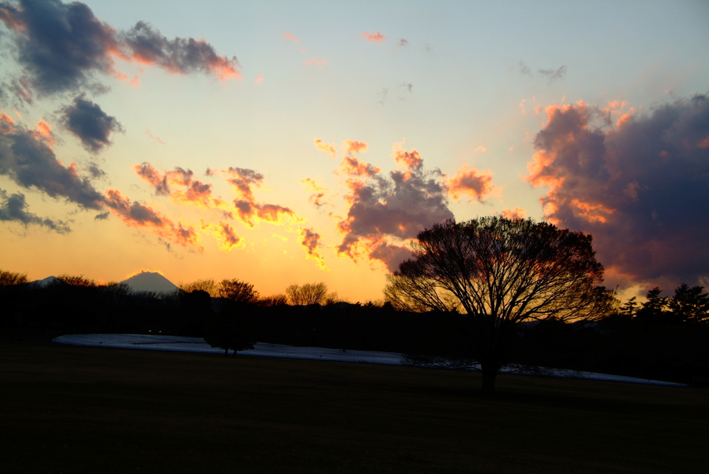 昭和記念公園の夕日3
