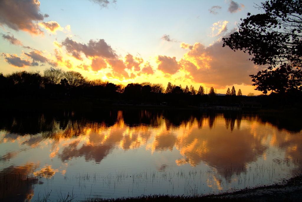 昭和記念公園の夕日2