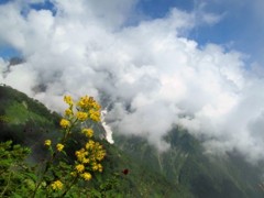 IMG_2337