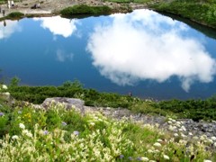 八方池と花