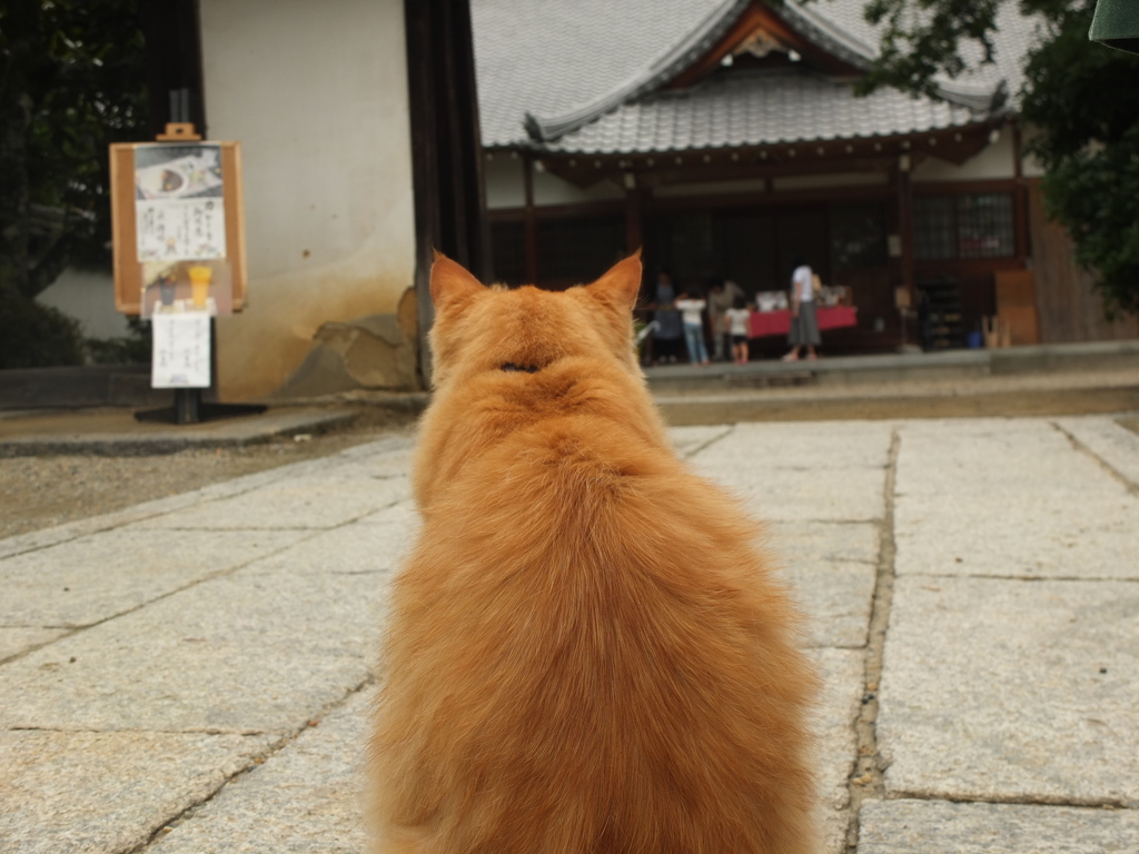 お出迎え