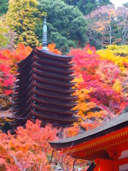 談山神社にて①