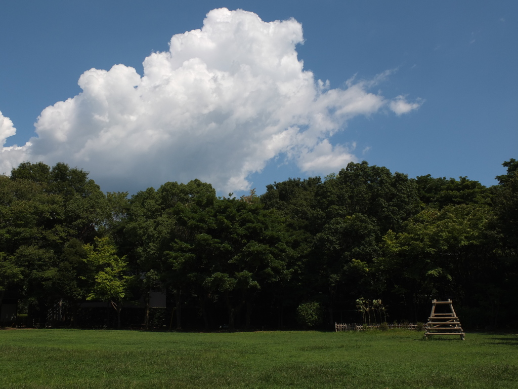 いい雲