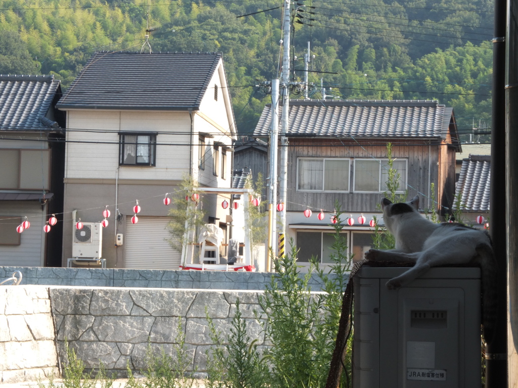 真鍋島にて