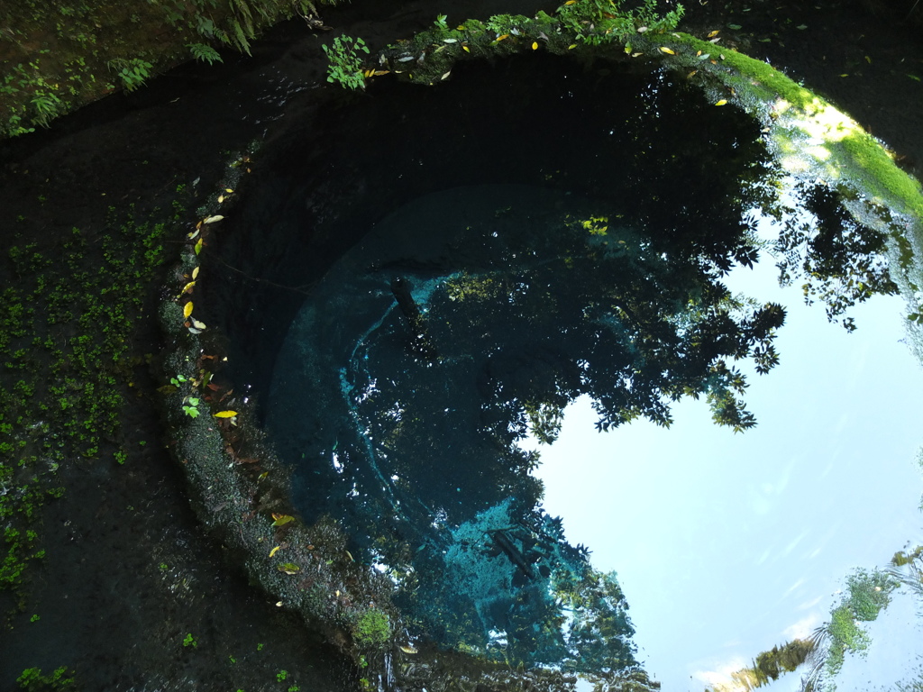 柿田川に流れるは　③