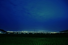 水田夜景