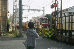 君との散歩はのんびり進む