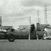 夏が終わるね