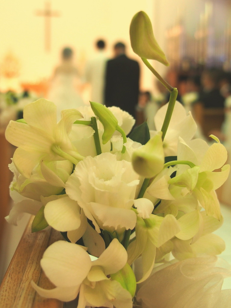 友人の結婚式