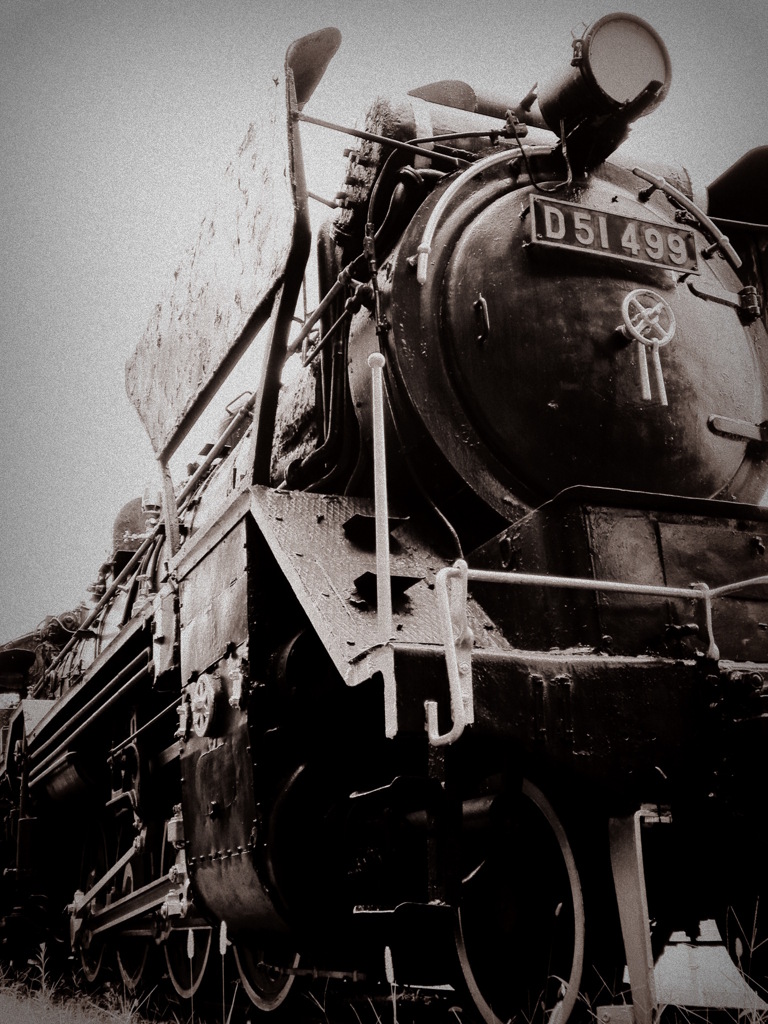 D51499