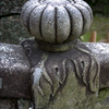 かぼちゃ
