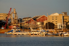 DSC00968