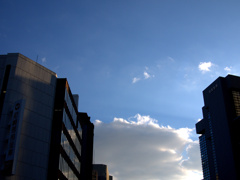 P1020755.RW2