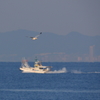 大阪湾