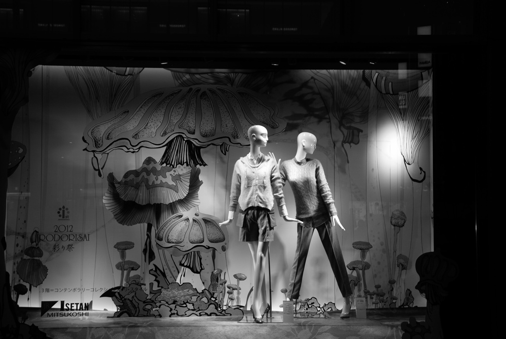show window