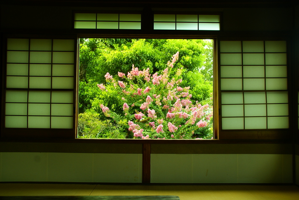 夏の和室にて