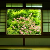 夏の和室にて