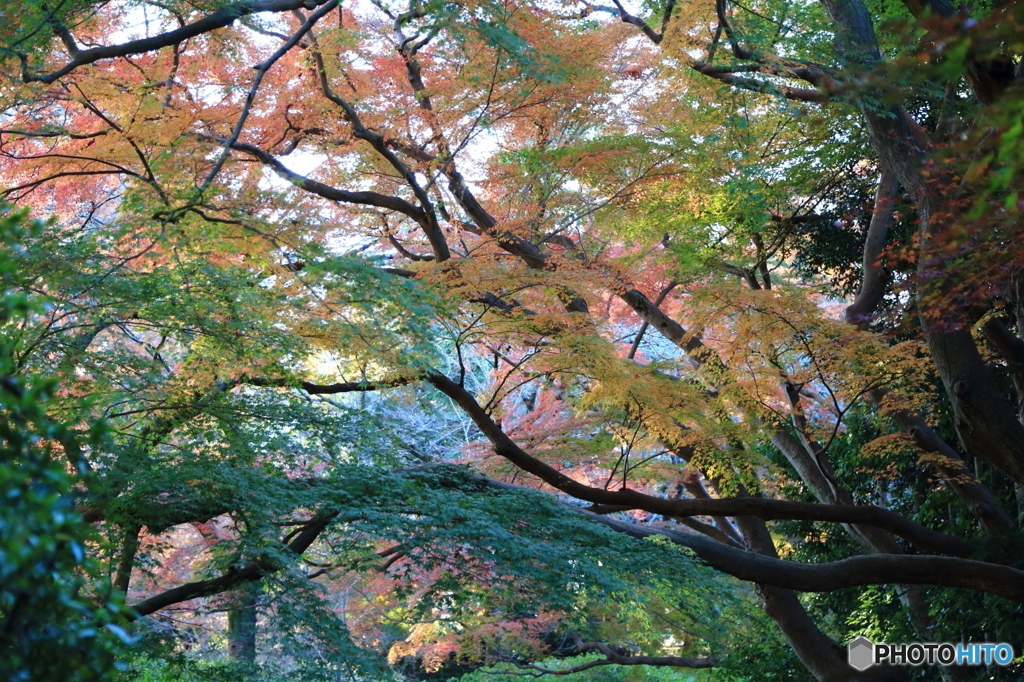 清水公園