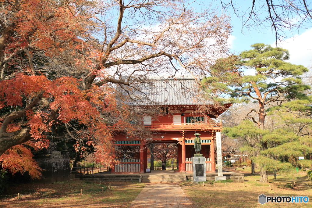 紅葉その３