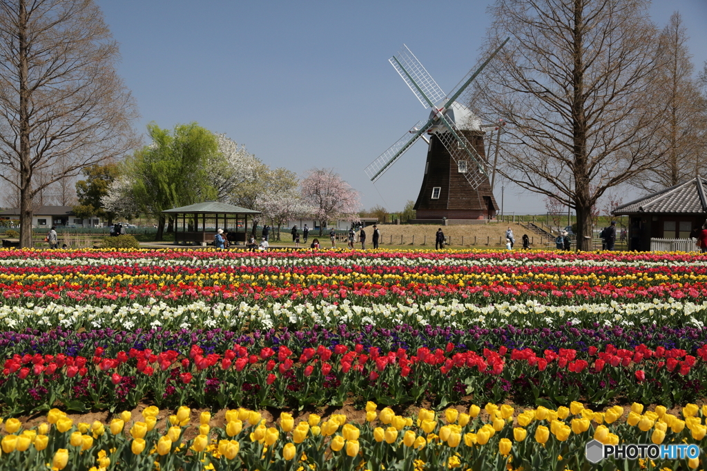 あけぼの山農業公園