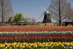 あけぼの山農業公園