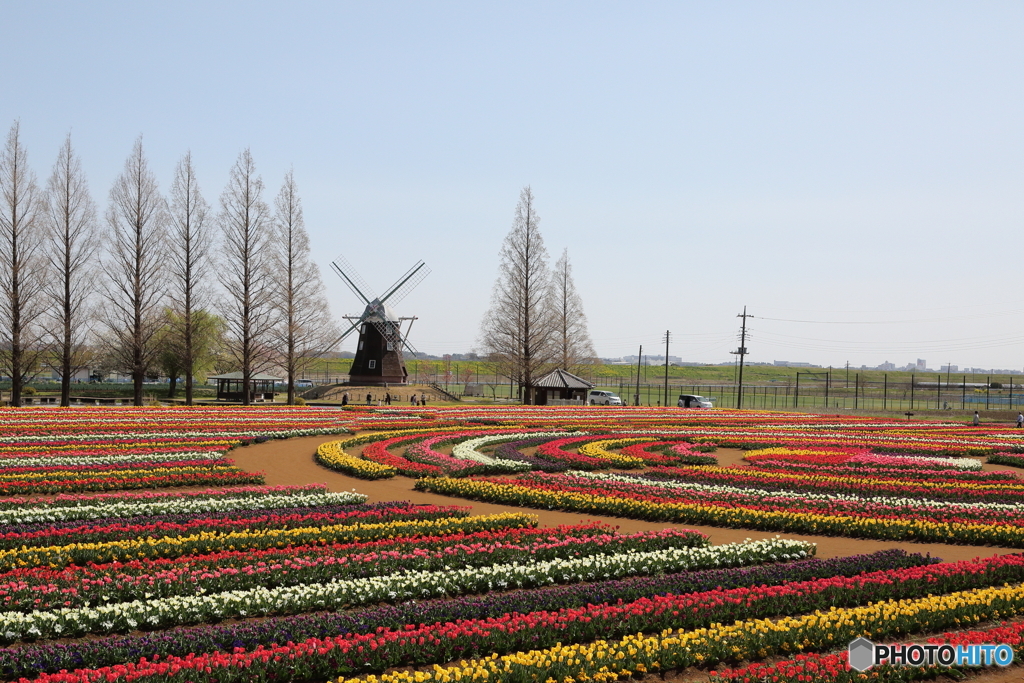 あけぼの山農業公園