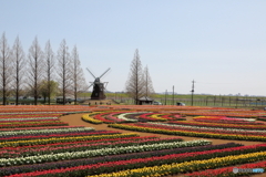 あけぼの山農業公園