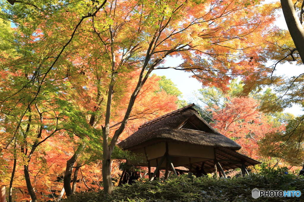 六義園