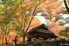 六義園