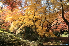 六義園